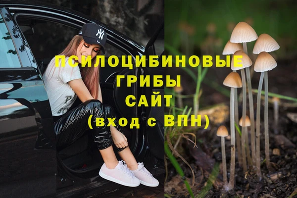 не бодяженный Верхний Тагил